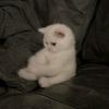 menna.isma