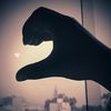the_josel
