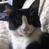 gerarda_delilahdrums34