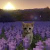thelastoportunity2