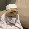 lupito624