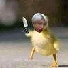 staypabo_