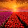 florlopez7178