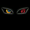 yadi.tzy247