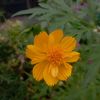 bee25722001