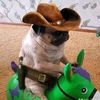 xerlyndelijah