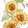 soc281108