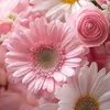 forgetmenot6690