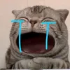embe.dangniengrang