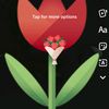 syedtoqeerabbas10