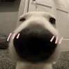 thaomy7321