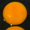 suntol2