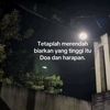 rany8388