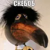 srobidlan