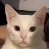banamanto