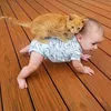 ommaigat.di