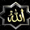 tix_abdou4
