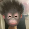 danghuutuanan