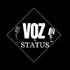 voz_e_status