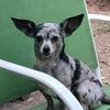 scooter0420