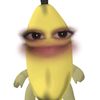 ozcarxdnt
