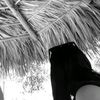 sofii_zv
