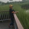 mbul_rastau