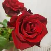 user24mcctxczu