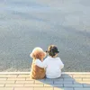 pyhuynh___