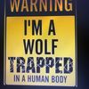 therebelwolf19