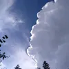 oskarinio2000