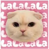 lily_gracie_meo