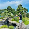 buitrongtoan94