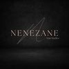 nenezanehairstudios
