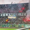 pa73salvo