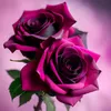 qween_699