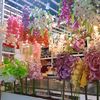 iqra.faazh92
