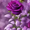 user9930503791077