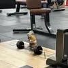 luca_1192