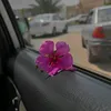 daya.gean783
