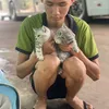 thanhtai09014