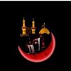 messam.abbas391
