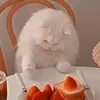 haaaahahaaaa3