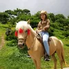 daothoa84