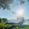 realpheeontheyoga