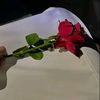 afaq_khattak_444
