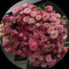 rawa_q0