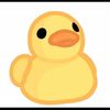 mayduck2713