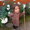 abeehaeman5