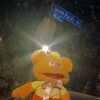 pacosfuzzballpicks